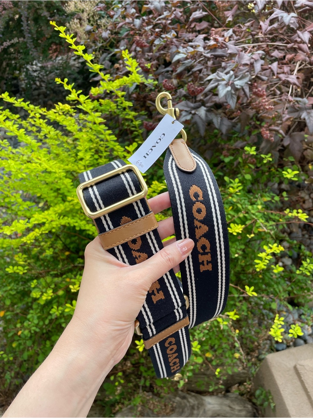 COACH Black & Brown Signature Webbing Strap for Bags